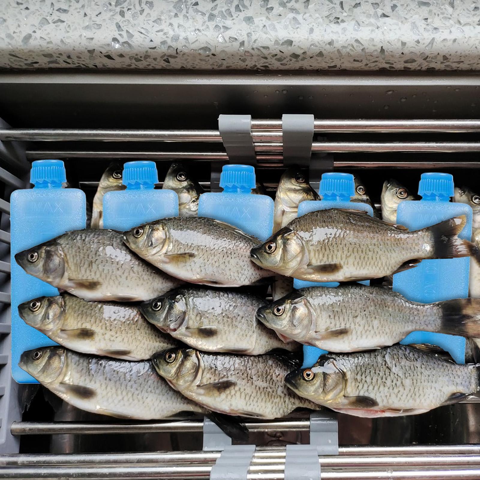 8 Pezzi di Pacchetti di Ghiacc - Wine Beer Refrigerator recensione e prezzo
