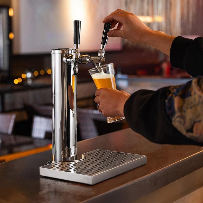 Kit Torre Kegerator, Kit di Co - Beer Wine Kit recensione e prezzo